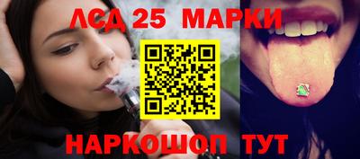гидропоника Ставрополь