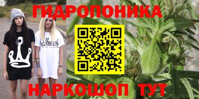 мдпв Старая Купавна