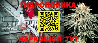гидропоника Ставрополь