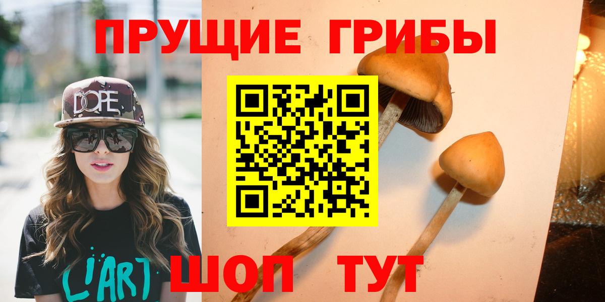 где купить   Галлюциногенные грибы MAGIC MUSHROOMS  Вход с VPN  Туймазы 